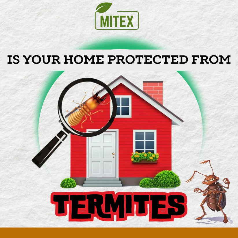 TERMIGAURD™ -TERMITE KILLER SPRAY (BUY 1 GET 2 FREE) (PACK OF 3)