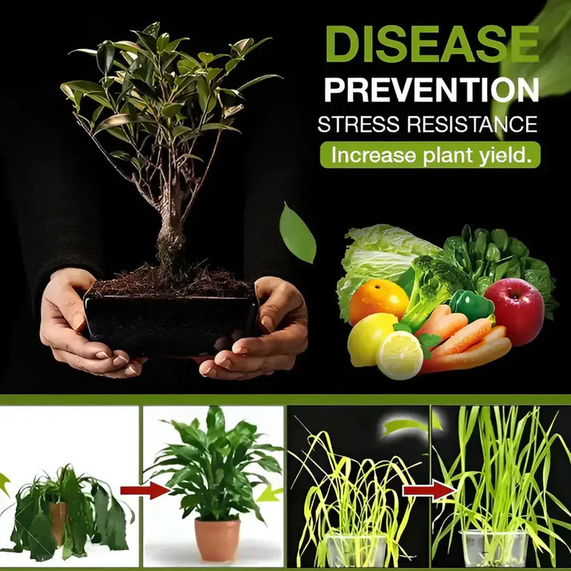 SOIL ACTIVATOR - PLANT'S BEST FRIEND (BUY 1 GET 1 FREE)